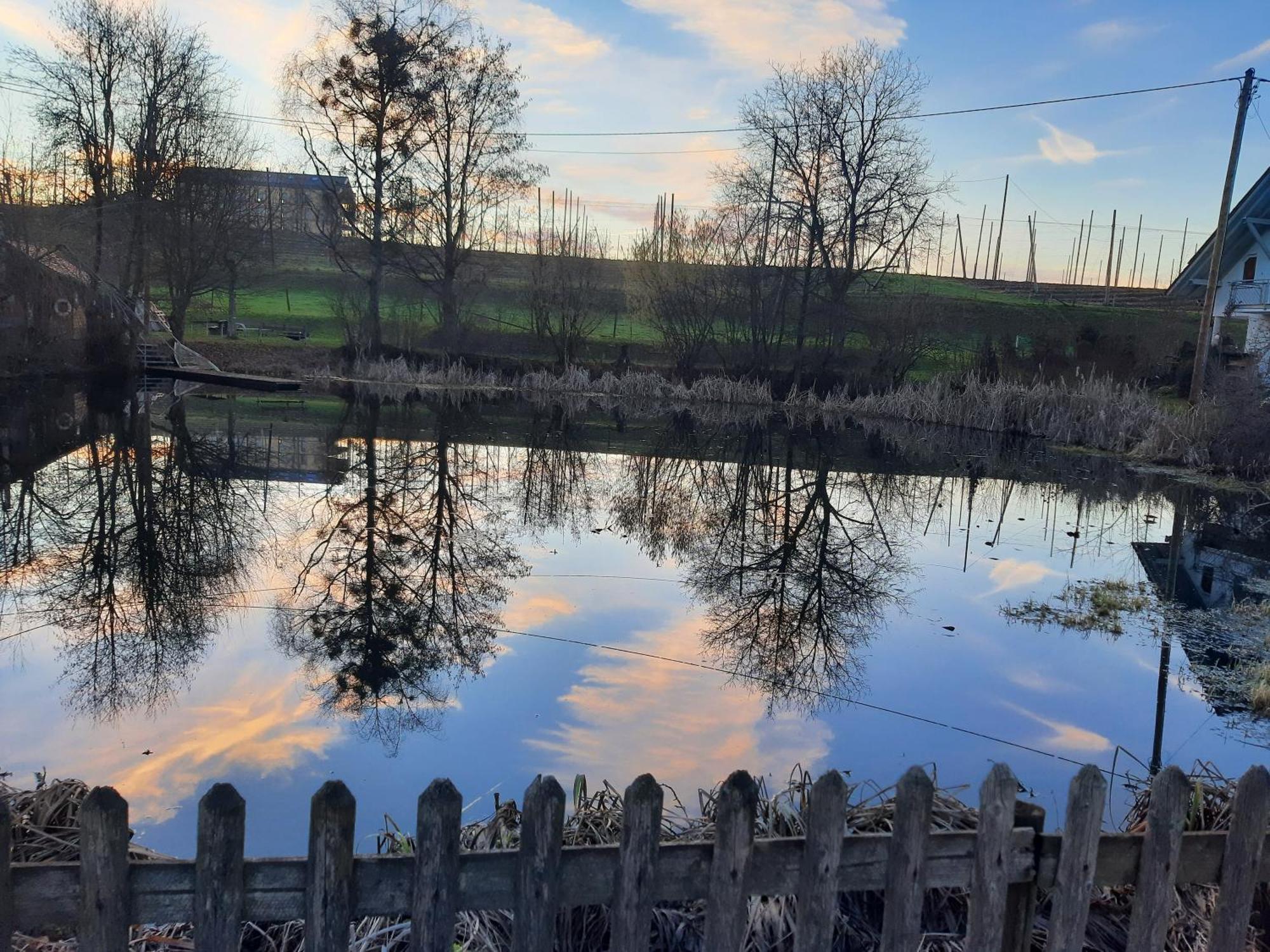 Am Dorfweiher Tettnang Exterior foto